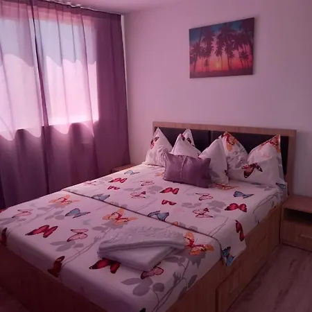 Casa Ioana *